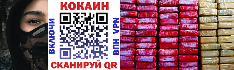 Купить закладки  Туринск  Cocaine Fish Scale 