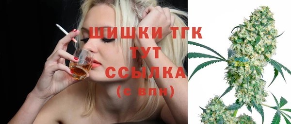 соль ск Белокуриха