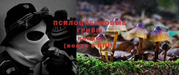 соль ск Белокуриха